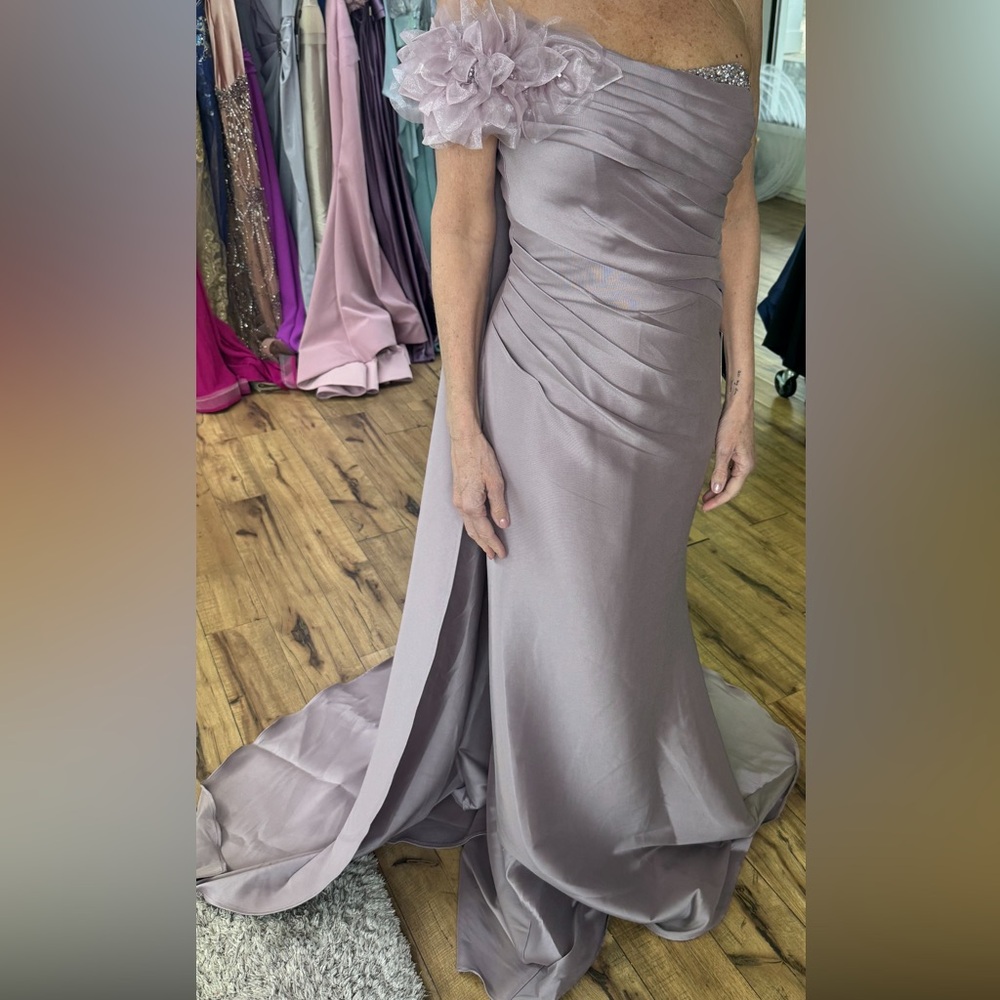 Terani Elegant Mauve Evening Gown